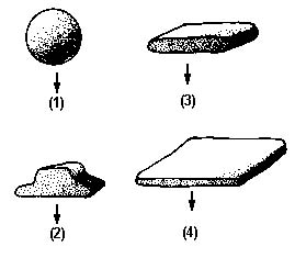 CoursesEarthes192