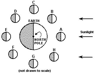 CoursesEarthes31