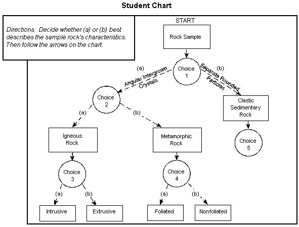 CoursesEarthes338