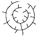 CoursesEarthes81