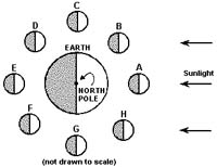 CoursesEarthes31