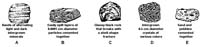 CoursesEarthes436
