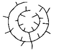 CoursesEarthes81