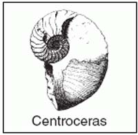 CoursesEarthq2719