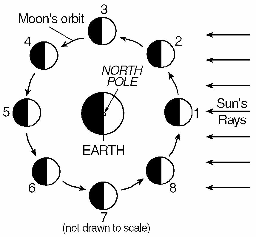 regents245