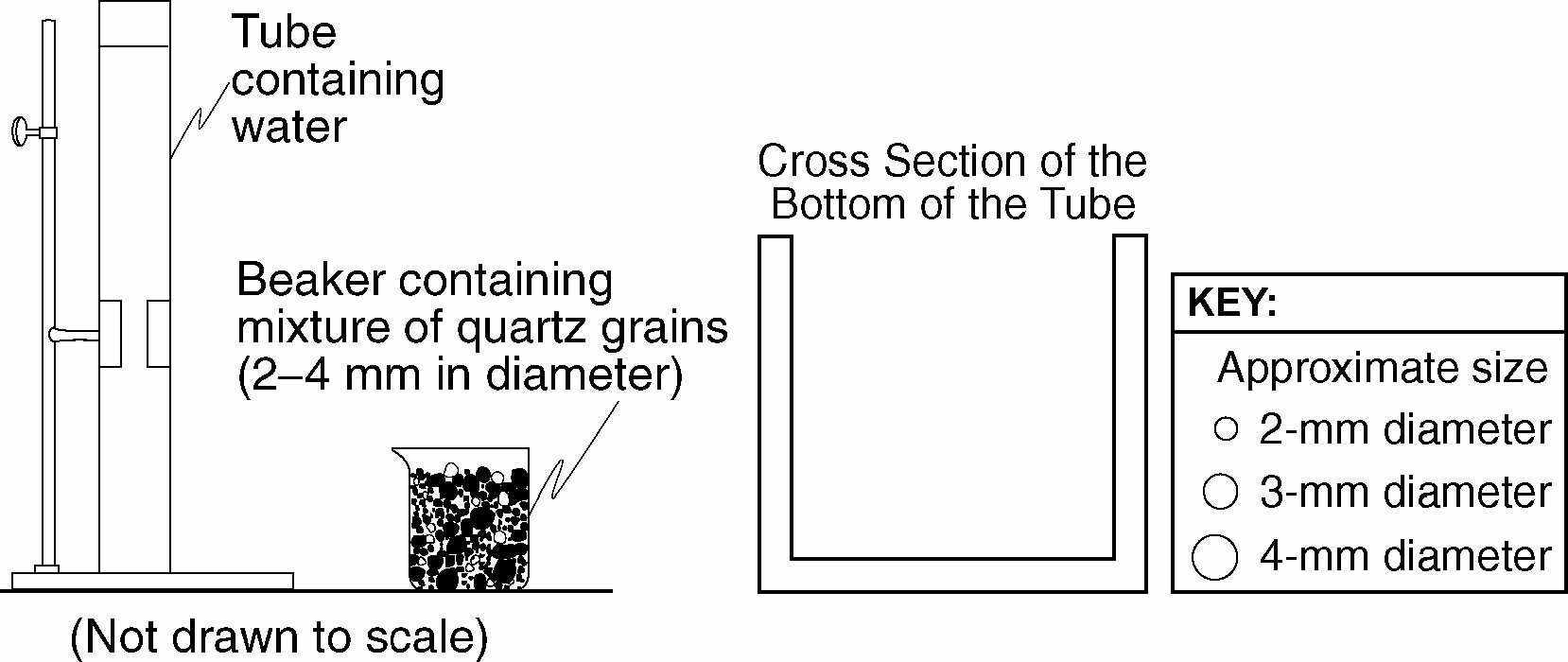 regents282