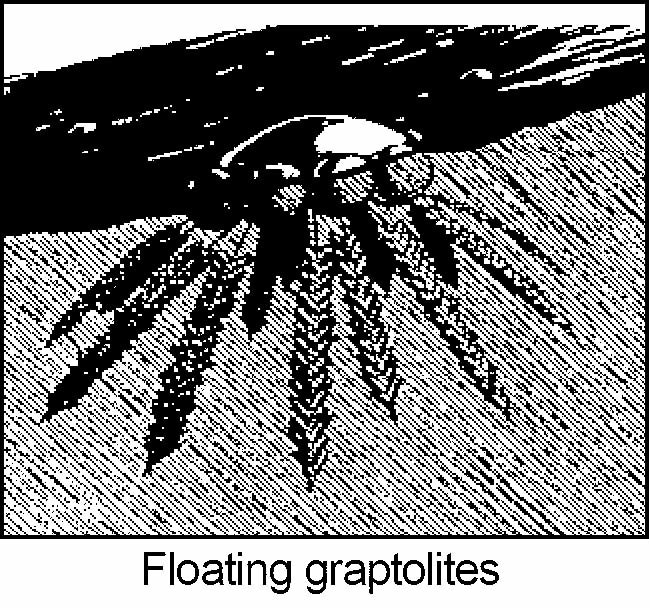 regents318