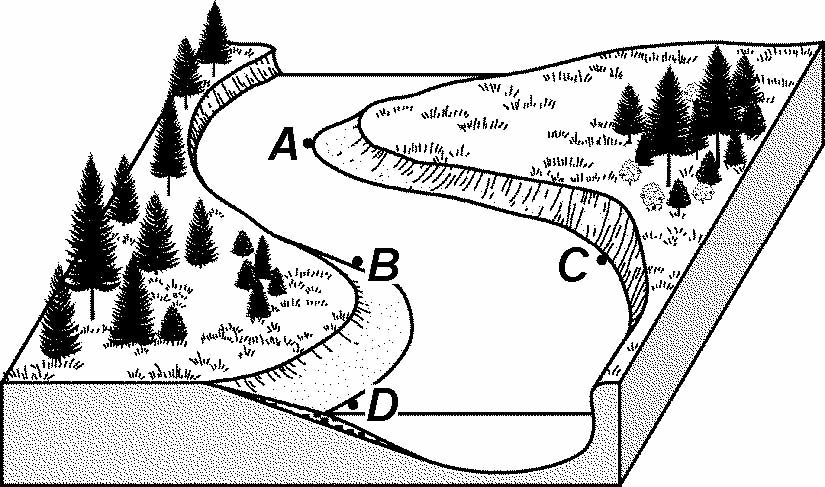 regents398