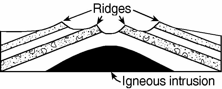 regents489