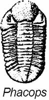 regents242