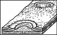 regents358