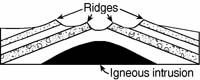 regents489