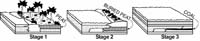 regents631