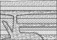 regents644