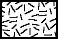 regents646